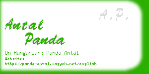 antal panda business card